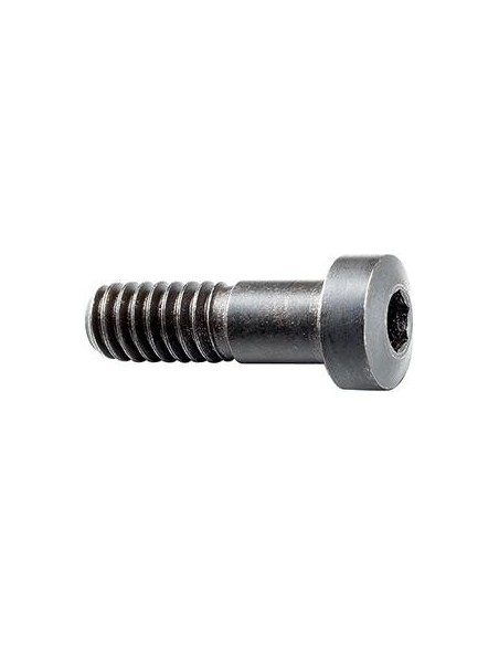 Tornillo de apriete para portaplaquitas corte transversal 20