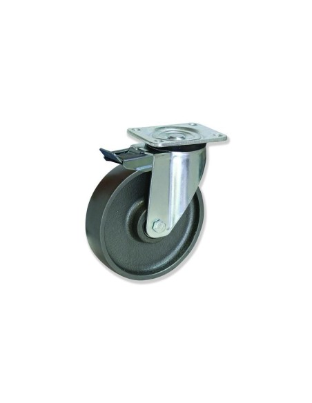 K - Rotantes Modelo K Sujeción por Pletina P | 35-630-FD KPG5 250 HFB6-FD