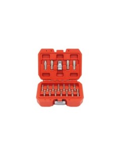 KIT EXTRACTOR PERFILES DAÑADOS TORX/HEX 19PZS