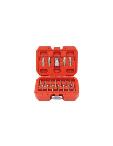 KIT EXTRACTOR PERFILES DAÑADOS TORX/HEX 19PZS