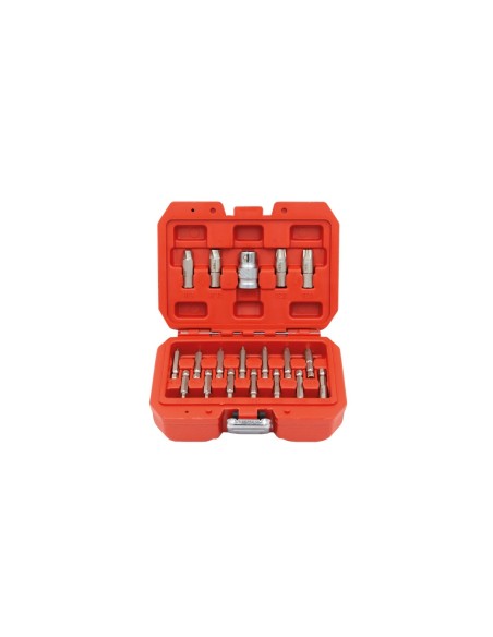 KIT EXTRACTOR PERFILES DAÑADOS TORX/HEX 19PZS