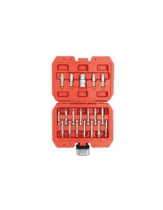 KIT EXTRACTOR PERFILES DAÑADOS TORX/HEX 19PZS 2