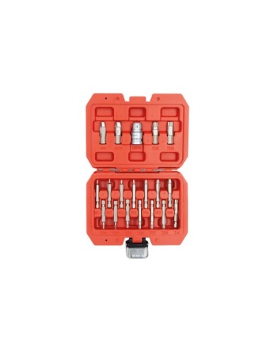 KIT EXTRACTOR PERFILES DAÑADOS TORX/HEX 19PZS