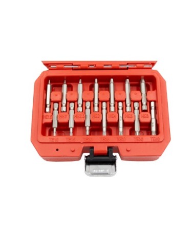 KIT EXTRACTOR PERFILES DAÑADOS TORX/HEX 19PZS