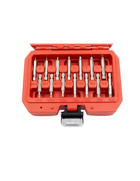 KIT EXTRACTOR PERFILES DAÑADOS TORX/HEX 19PZS