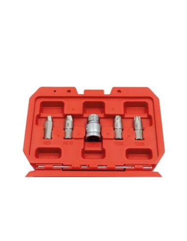 KIT EXTRACTOR PERFILES DAÑADOS TORX/HEX 19PZS