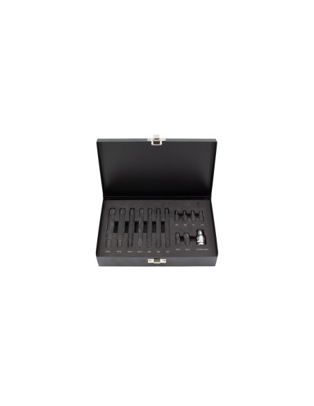 JUEGO DE PUNTAS RIBE 14pcs