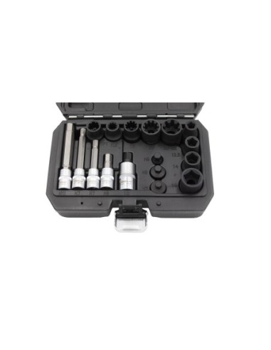 KIT LLAVES DE VASO E PUNTAS PARA FRENOS 17PZS
