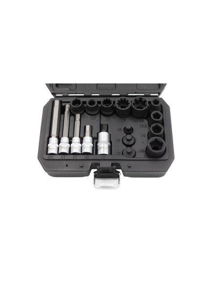 KIT LLAVES DE VASO E PUNTAS PARA FRENOS 17PZS