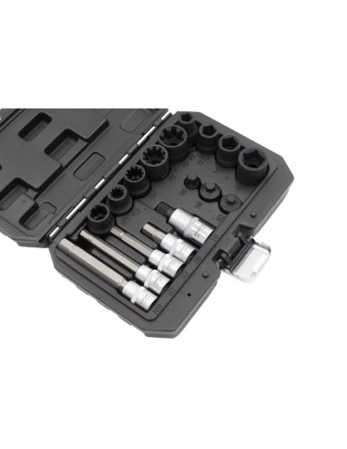 KIT LLAVES DE VASO E PUNTAS PARA FRENOS 17PZS