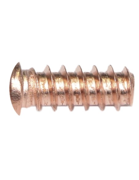 049413 * ROBLONES ROSCADOS 5x12 (x100)