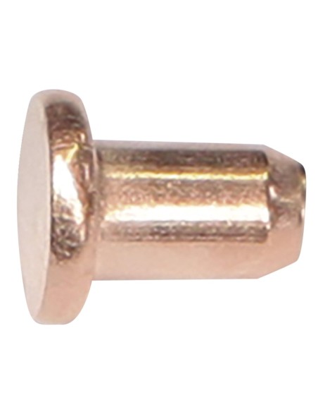049352 * ROBLONES 3x4,50 (x100)