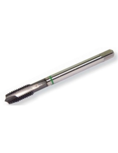 SESA - M. MAQ. INOX B/VERDE B PM HL DIN 376 M12X175
