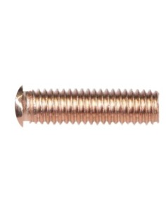 049383 * ROBLONES ROSCADOS M5x18 (x100)