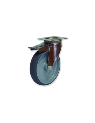 MI - Rotantes Modelo M en Acero Inoxidable I Sujeción por Pletina P | 35-358/2-FD MIPG5 160 PCL4-FD