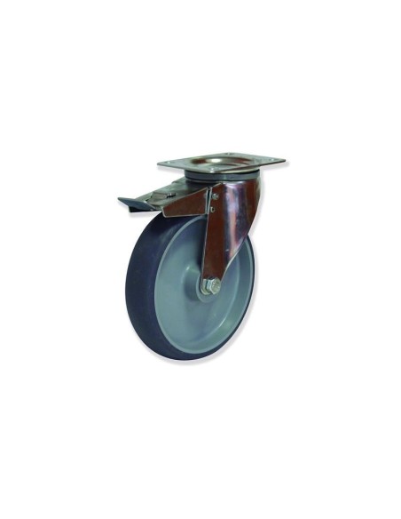 MI - Rotantes Modelo M en Acero Inoxidable I Sujeción por Pletina P | 35-358/2-FD MIPG5 160 PCL4-FD