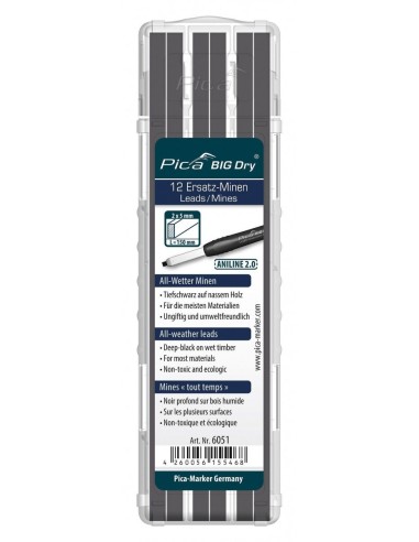Minas todo tiempo ANILINE 2.0 - Pica BIG Dry