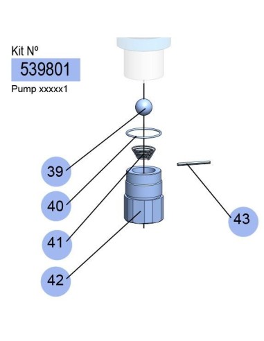 KIT VÁLVULA PIE (NPT) PM35-8,1