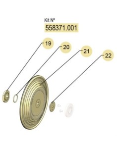 558371.001, KIT MEMBRANAS DF-100 (PTFE) FLEXIBLE