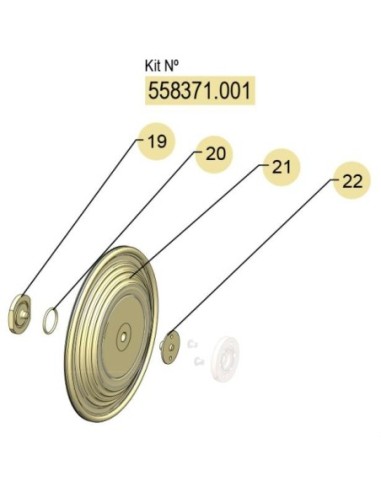 558371.001, KIT MEMBRANAS DF-100 (PTFE) FLEXIBLE