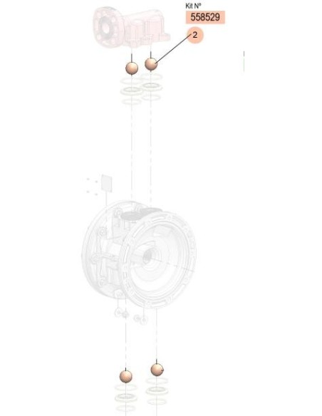 558529, KIT BOLAS DP200 (PTFE)