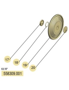 558309.001, KIT MEMBRANAS DF-50 (PTFE) FLEXIBLES