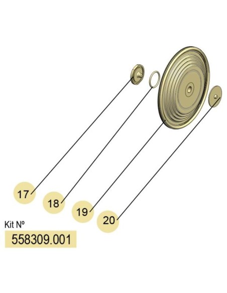 558309.001, KIT MEMBRANAS DF-50 (PTFE) FLEXIBLES