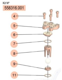 558316.001, KIT REP.VÁLVULA (DF-30/DF-50) (A/J/J) (INOX/VITON/PP-V.4)