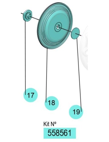 558561, KIT MEMBRANAS DP200/250 (NBR)