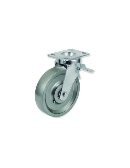 Q - Rotantes Modelo Q Sujeción por Pletina P | 36-866-FD QPG6 150 HFB6-FD