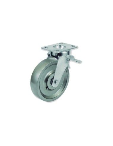 Q - Rotantes Modelo Q Sujeción por Pletina P | 36-868-FD QPG6 200 HFB6-FD