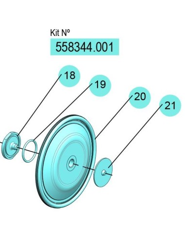 558344.001, KIT MEMBRANAS DF-30 (PTFE) FLEXIBLES