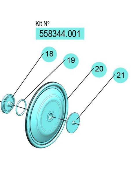 558344.001, KIT MEMBRANAS DF-30 (PTFE) FLEXIBLES