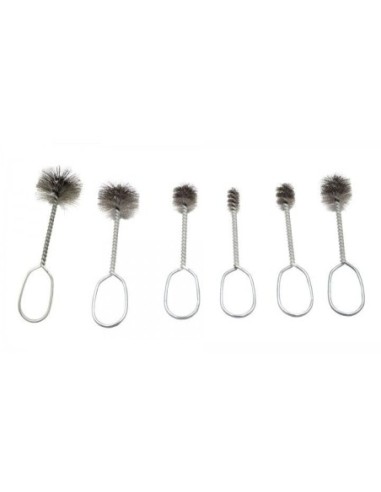 KIT ESCOBILLAS LIMPIEZA 6PZS