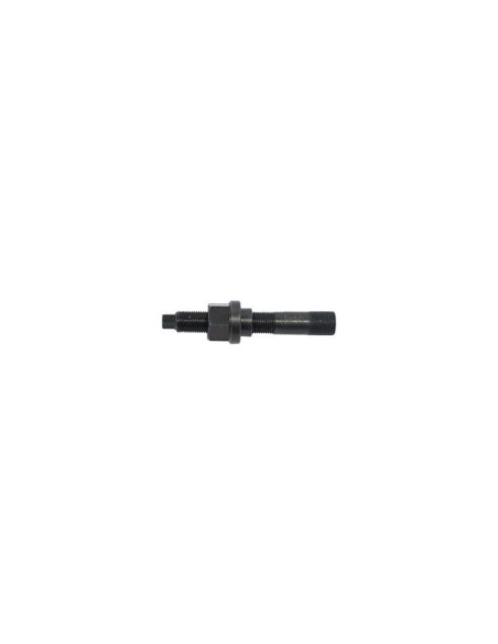 HUSILLO P/8546