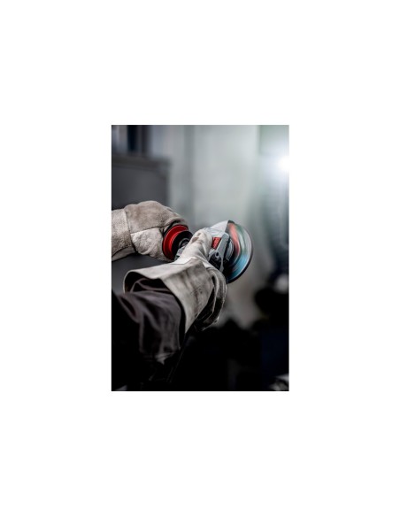 WE 17-125 Quick RT Amoladoras angulares/Cartón