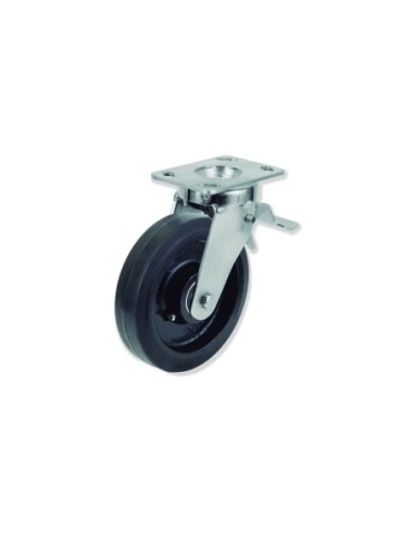 Q - Rotantes Modelo Q Sujeción por Pletina P | 36-812/08-FD QPG6 250 HGB5-FD