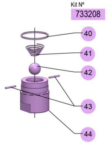KIT VÁLVULA DE PIE PM2/PM4 INOX