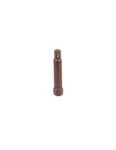 PUNTA 10MM T50