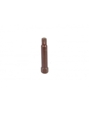 PUNTA 10MM T50