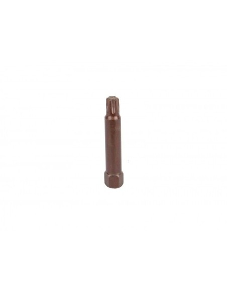 PUNTA 10MM T50