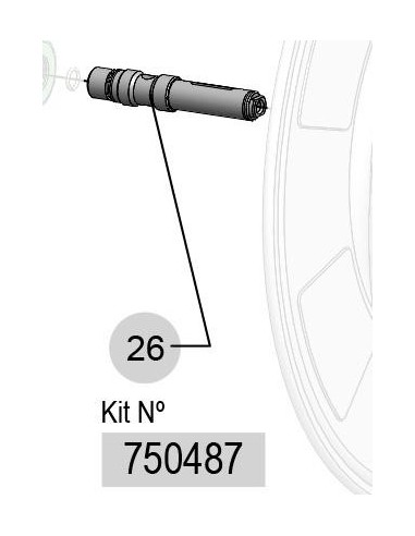 750487, 1/2 BSP-LATON A-W RM12