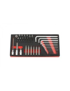 MÓDULO LLAVES TORX 43pcs 2