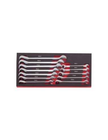 MÓDULO LLAVE COMBINADA CON CARRACA 12 pcs