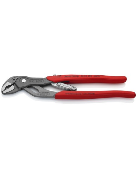 SmartGrip Tenaza de agarre automática recubiertos de plástico antideslizante gris atramentado 250 mm (cartulina autoservicio/b